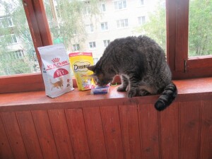 IMG_1273