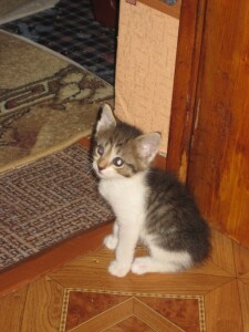 Vddr8CSkf2YALQtHvTrWvAiskoN53otewUeLVYQPMOnZU1LiLzdV0W4sXbW58zlMssP0vR8_fwvPzpT_f2i_ulPD